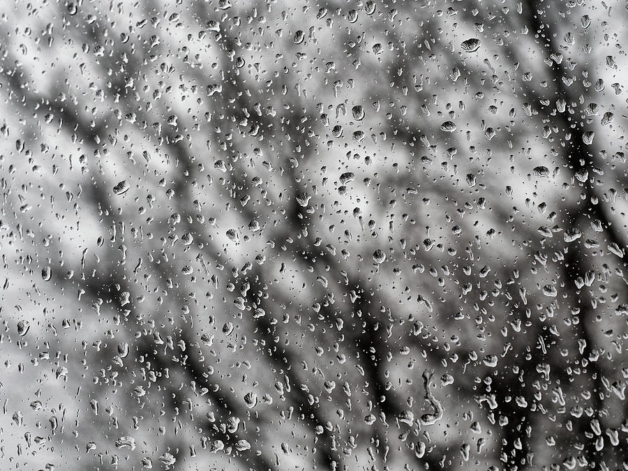 raindrops No.2 #1 Photograph by Tom Druin