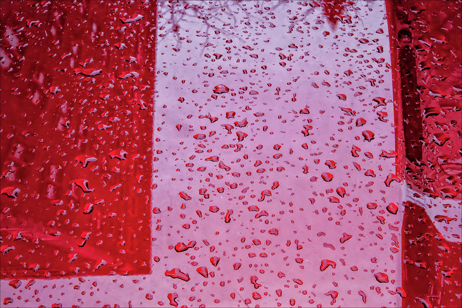 Raindrops on Car #1 Photograph by Robert Ullmann