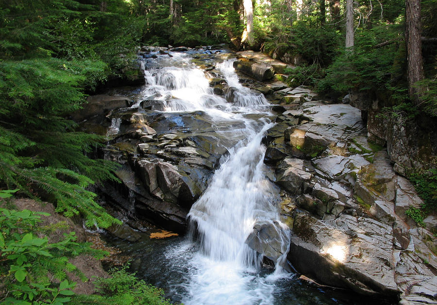 Waterfall Photograph - Rainier Waterfall by Ty Nichols Waterfall Photograph - Rainier Waterfall by Ty Nichols