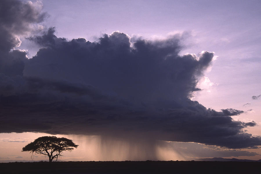 Rainstorm at Amboseli #1 Photograph by Michele Burgess