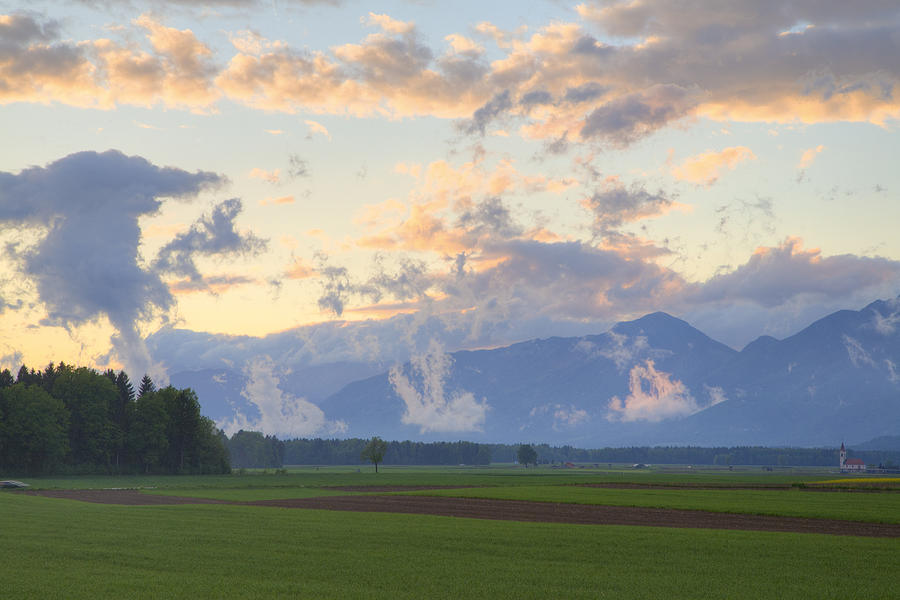 rapeseed field in Brnik with Kamnik Alps in the background #1 Photograph by Ian Middleton