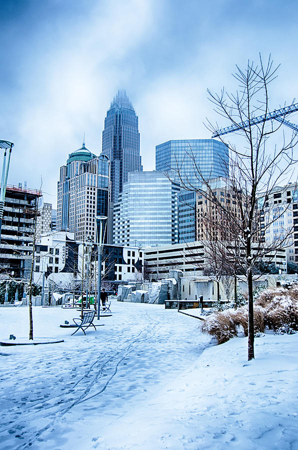 Rare Winter Weather In Charlotte North Carolina Photograph by Alex