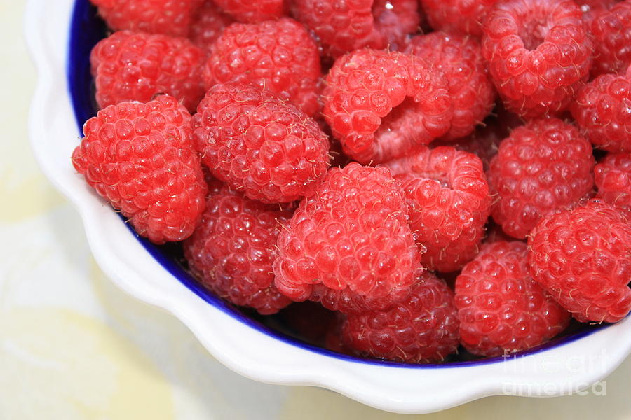 Raspberries in Polish Pottery Bowl #2 Photograph by Carol Groenen