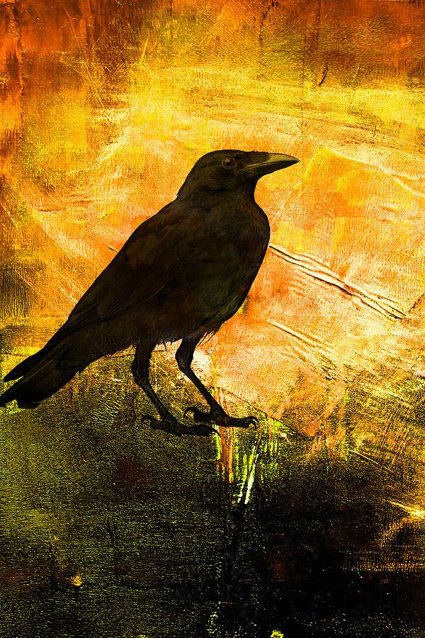 Raven Digital Art - Morning Watch by Nancy Merkle