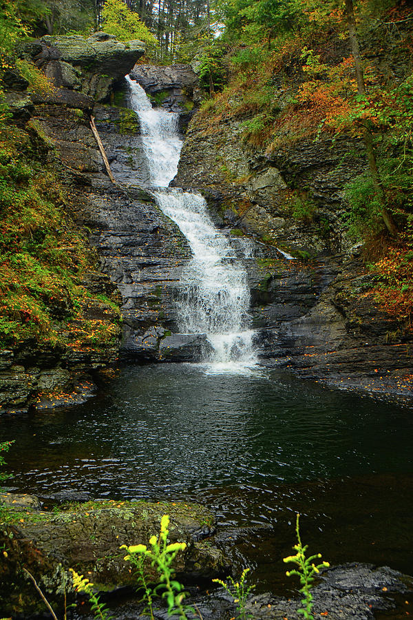 Raymondskill Falls #1 Photograph by Raymond Salani III