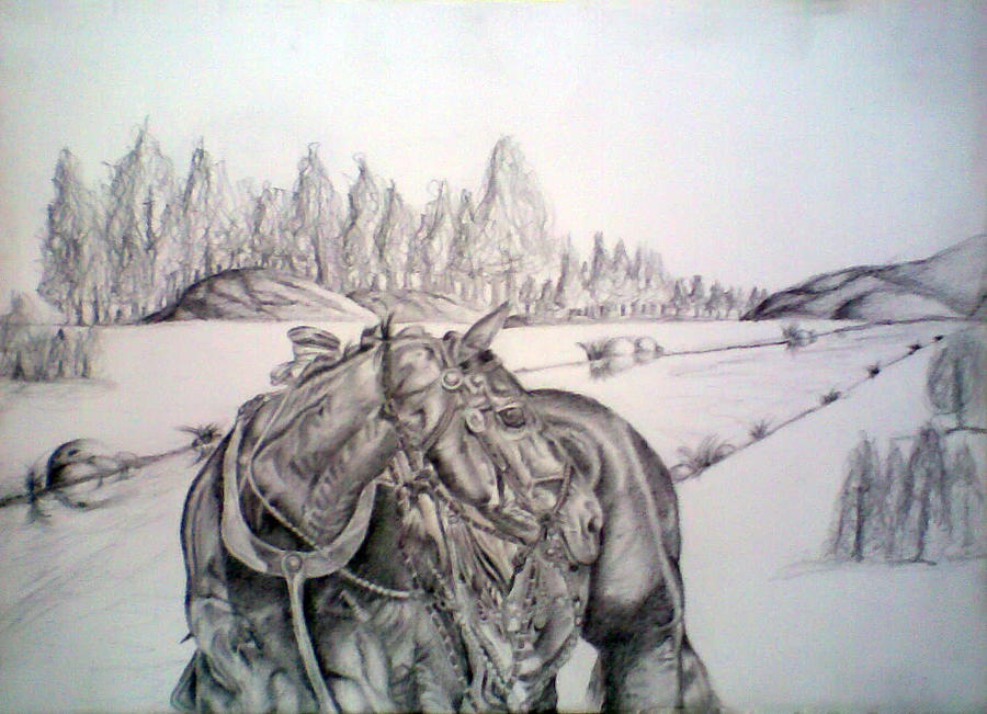 Horse Drawing - Ready to work #1 by Bhupinder Singh
