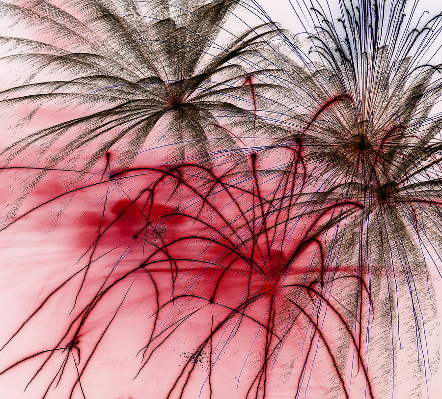 Red and Black Bursting Photograph by Mary Bedy