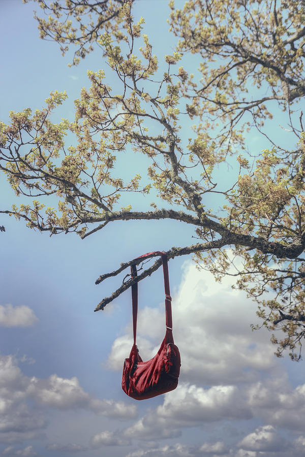 Tree Photograph - Red Bag #1 by Joana Kruse