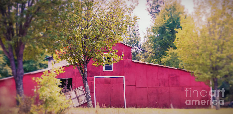 Red Barn 2 Photograph by Andrea Anderegg