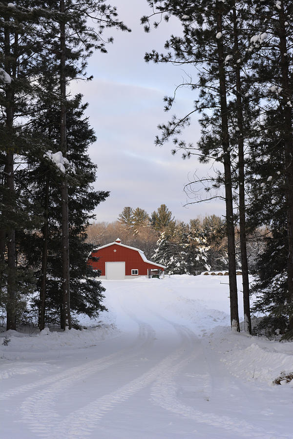 Red Barn in Winter #1 Photograph by Forest Floor Photography