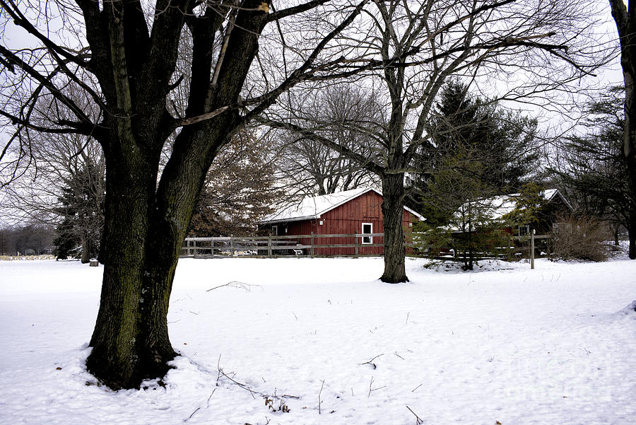 Red Barn in Winter #1 Photograph by John Rizzuto