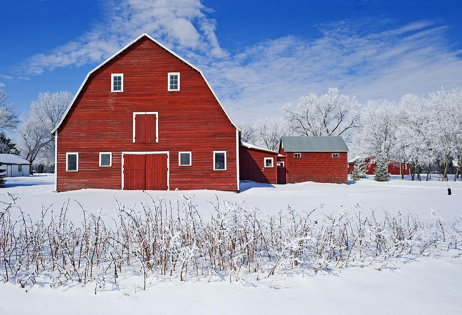 Red Barn, Winter, Grande Pointe #1 Photograph by Dave Reede