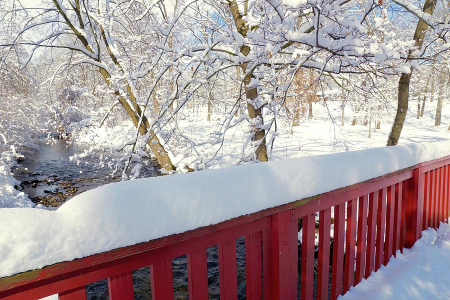 Red Bridge Snow Reading PA Museum Arboretum #1 Photograph by Blair Seitz