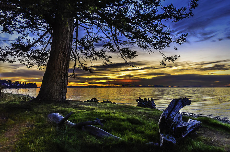 Washington Photograph - Red Burst by Blanca Braun Washington Photograph - Red Burst by Blanca Braun