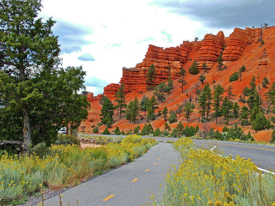Red Canyon Biking and Hiking Trail in Dixie National Forest, Utah  #2 Photograph by Ruth Hager