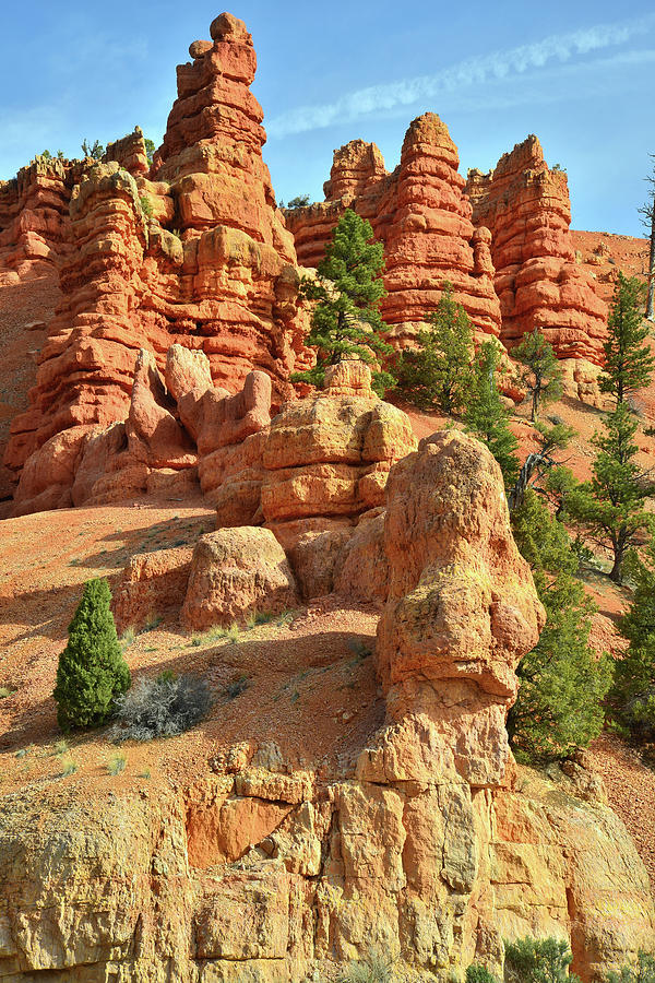 Red Canyon Hoodoos #1 Photograph by Ray Mathis