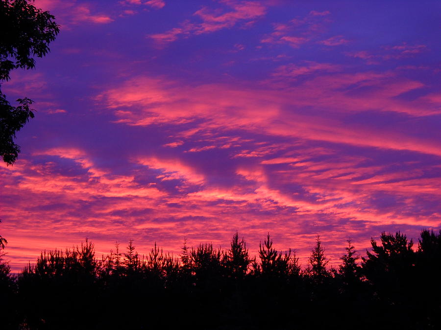 Red Clouds at Dawn #1 Photograph by Kent Lorentzen