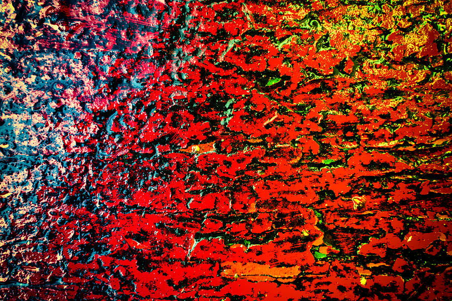 Red Color Abstract Wood and Rain Water #1 Photograph by John Williams