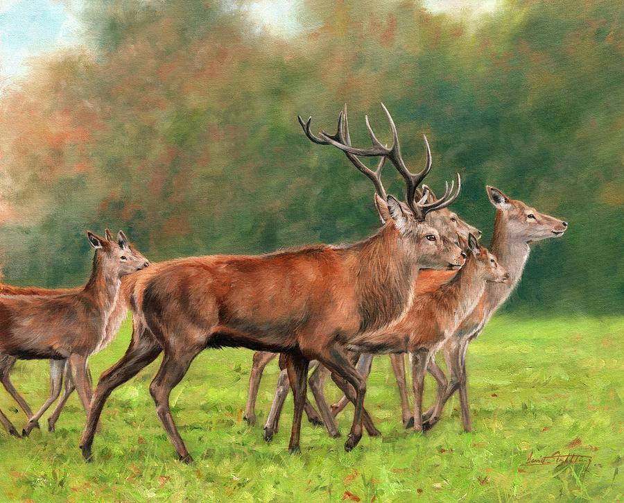Deer Painting - Red Deer #1 by David Stribbling