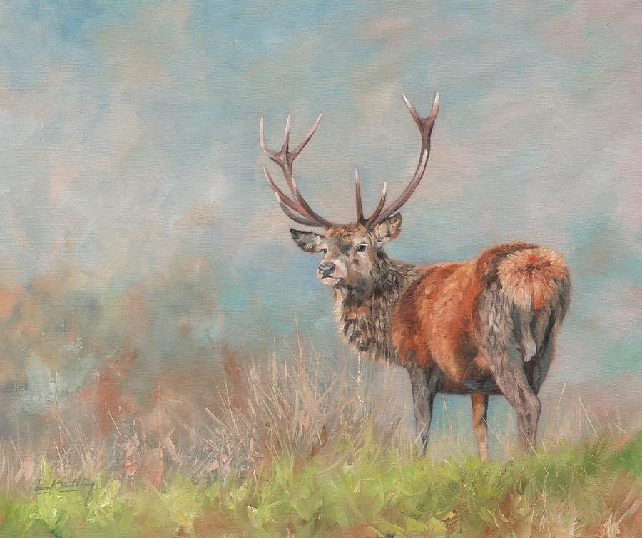 Red Deer Stag #1 Painting by David Stribbling