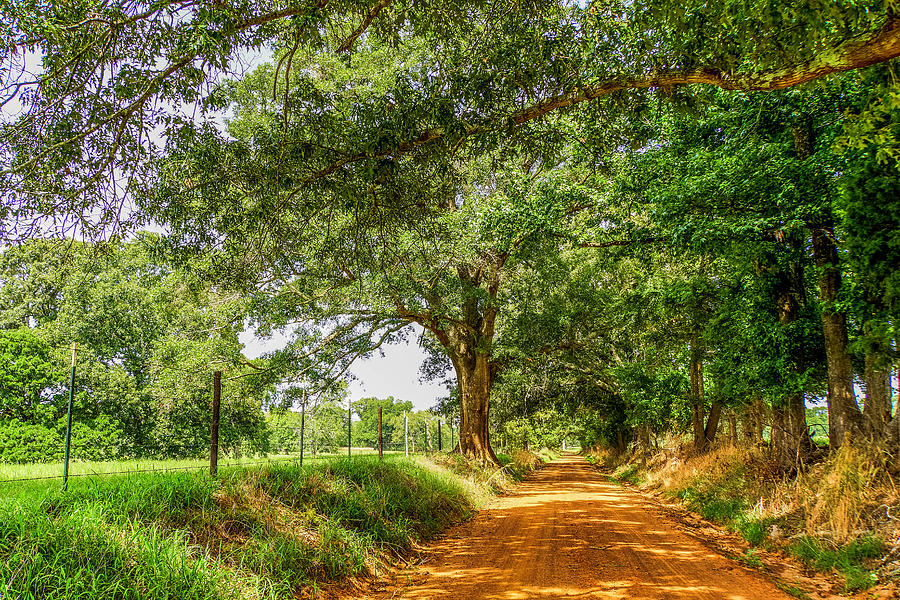 red-dirt-road-photograph-by-darrell-clakley-pixels