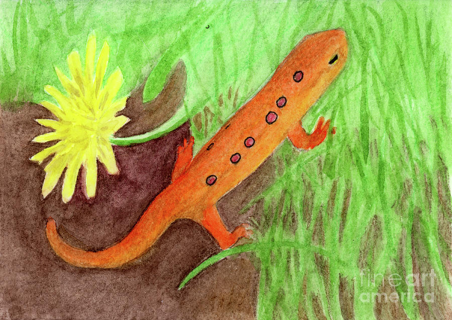 Red Eft Painting by Jackie Irwin