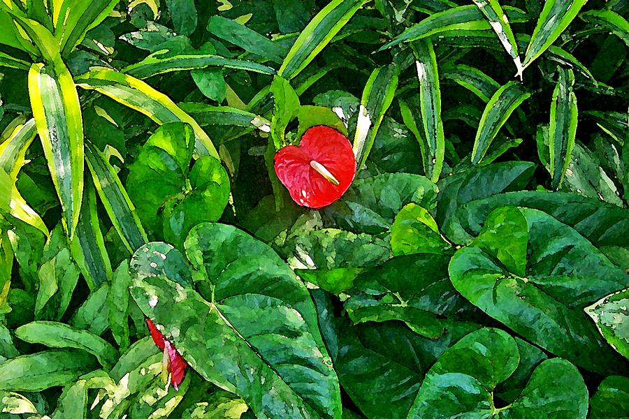 Red Flower Painting by Joe Roache Red Flower Painting by Joe Roache
