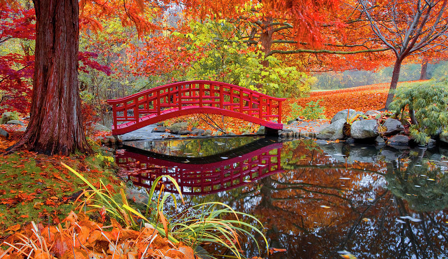 Red Footbridge, Japanese Garden, Autumn Photograph by Bruce Beck - Fine ...