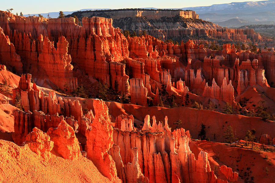 Bryce Photograph - Red Glow On Hoodoos Of Bryce Canyon by Pierre Leclerc Photography Bryce Photograph - Red Glow On Hoodoos Of Bryce Canyon by Pierre Leclerc Photography