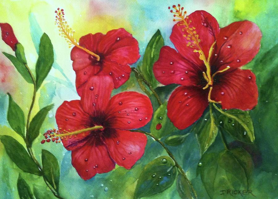Red Hibiscus by Jane Ricker Red Hibiscus by Jane Ricker