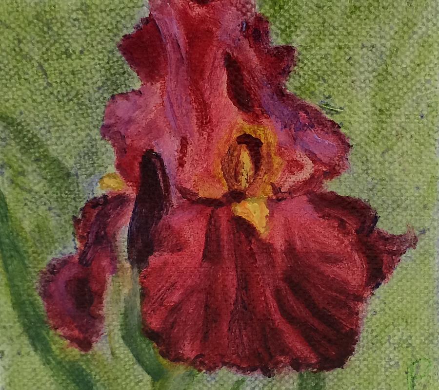 Red Iris #2 Painting by Paula Emery