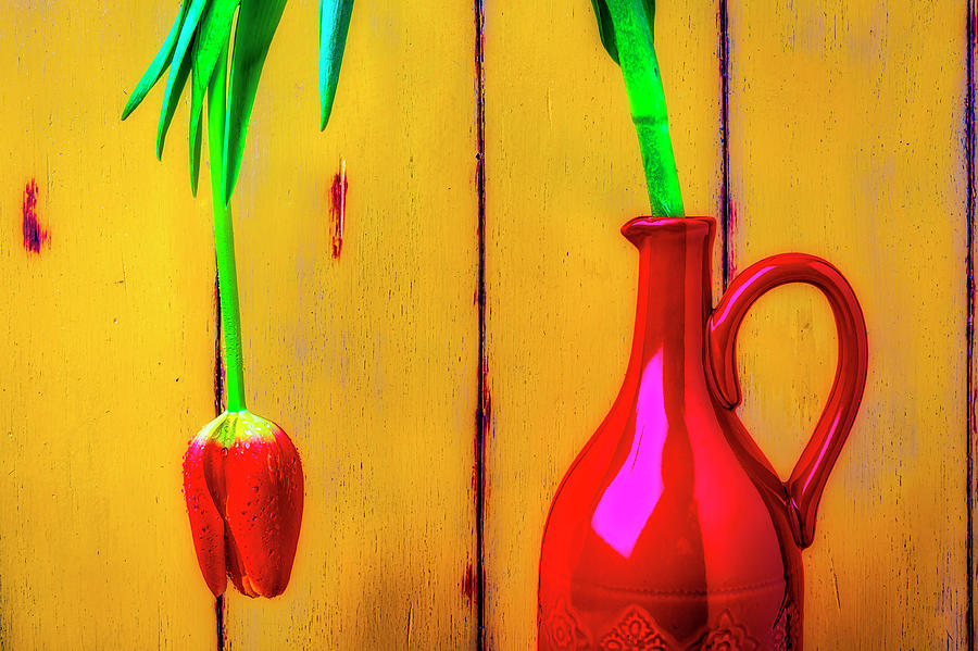 Red Pitcher And Tulip #1 Photograph by Garry Gay