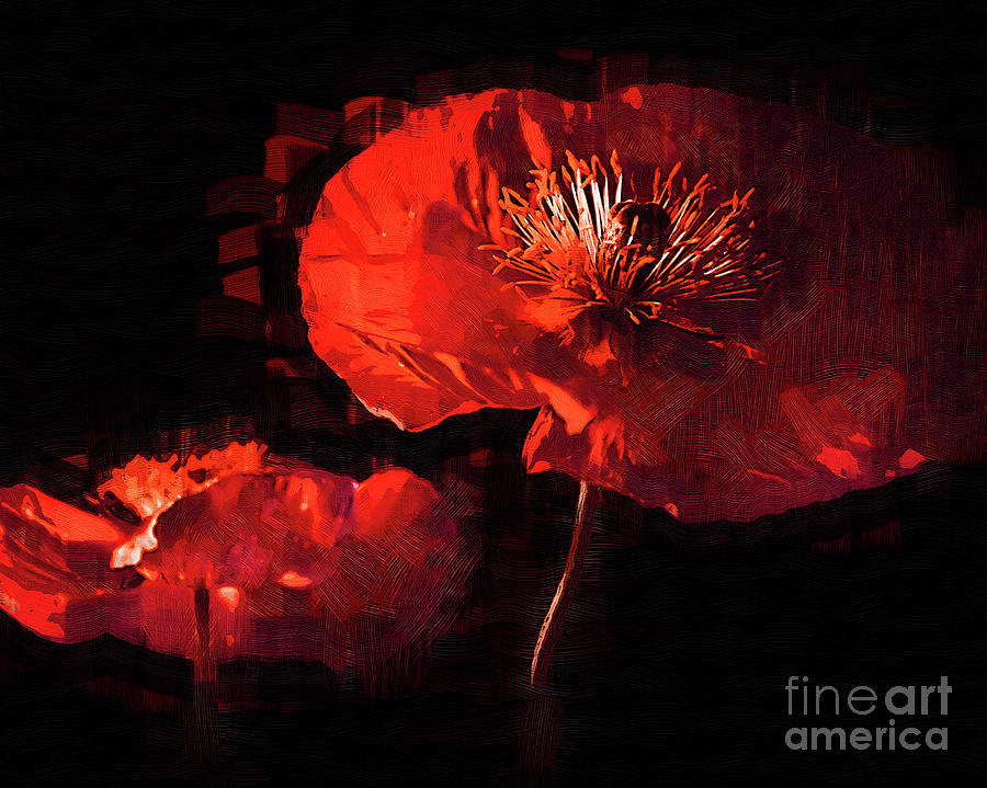 Two Red Poppies Digital Art by Kirt Tisdale