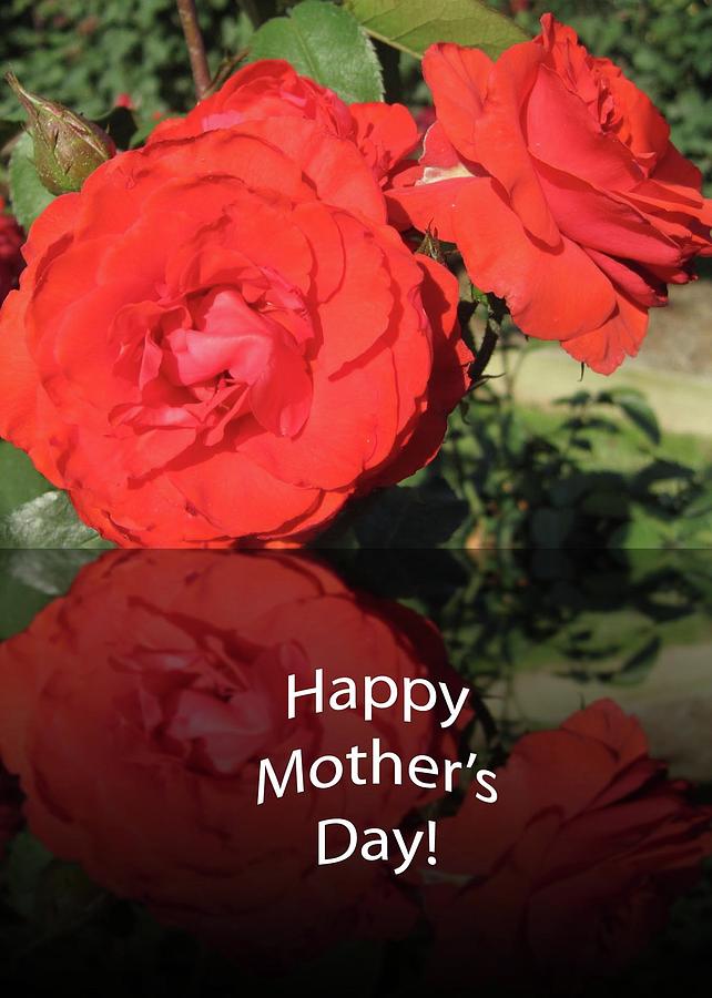 Red Reflection Mothers Day Photograph by Cynthia Westbrook