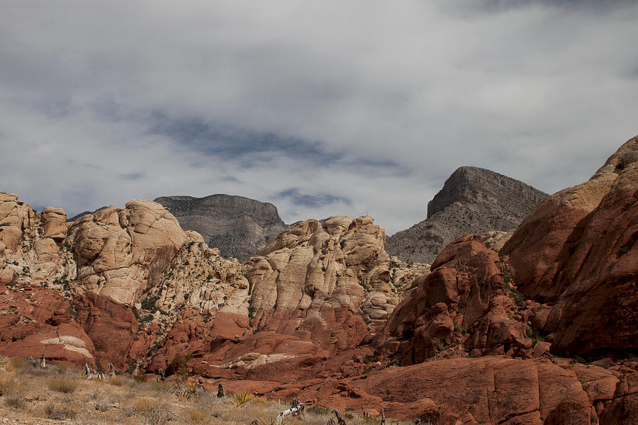 Nature Photograph - Red Rock Canyon #1 by Ivete Basso Photography