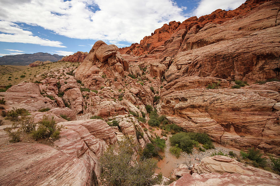 Red Rock Canyon Photograph
