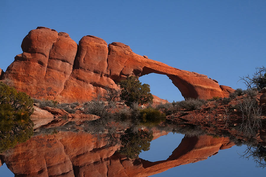 Red Rock Reflections #1 Photograph by Mark Smith