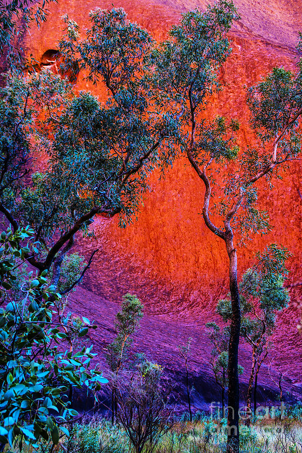 Red Rock #1 Photograph by Rick Bragan