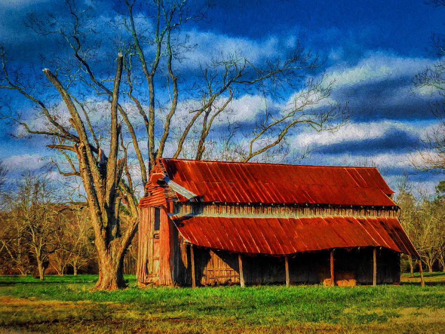 Red Roof Barn Photograph by Dave Bosse