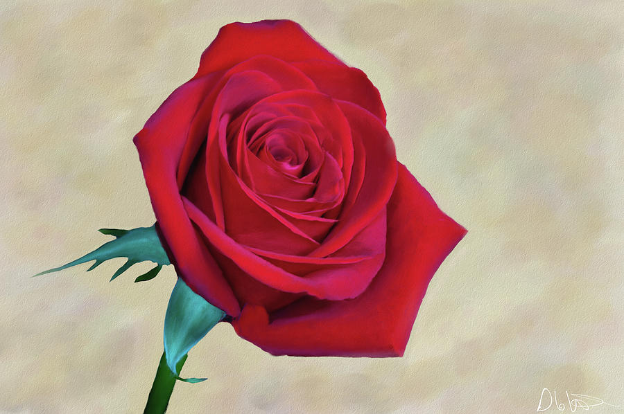 Botanical Digital Art - Red Rose Painting by Garvin Hunter Botanical Digital Art - Red Rose Painting by Garvin Hunter