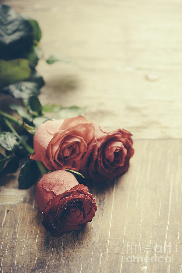 Red roses bouquet Photograph by Jelena Jovanovic