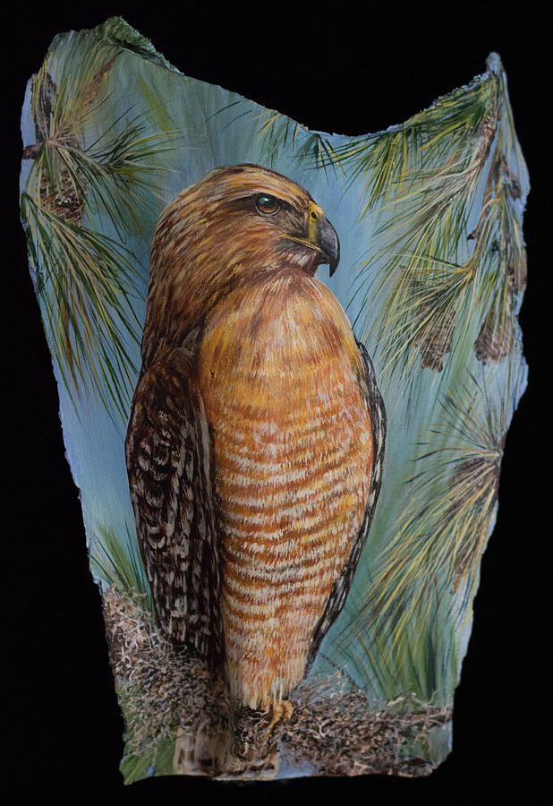 Red Shouldered Hawk #2 Painting by Nancy Lauby