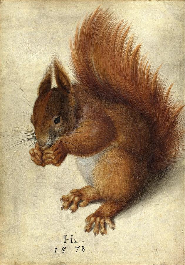 Red Squirrel  #1 Painting by Hans Hoffmann