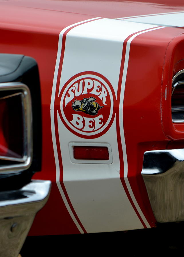 Red Super Bee Photograph by Dean Ferreira