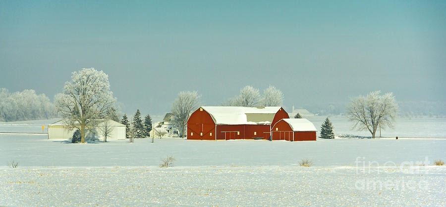Red Winter Panorama Photograph by Karen Jorstad