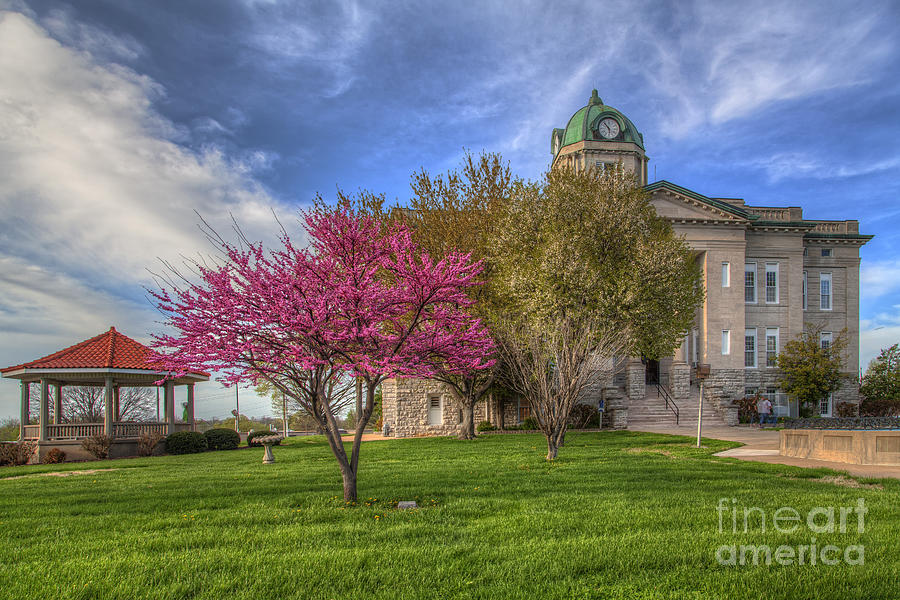 Flowers Still Life Photograph - Redbud at the Courthouse  by Larry Braun