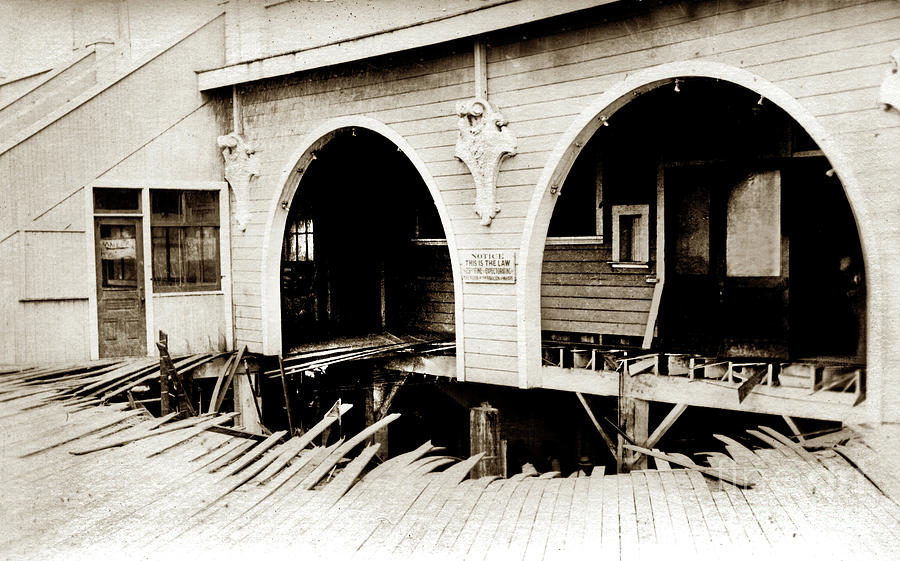 Redondo Beach Photograph - Empire Day Disaster May 24, 1913 - Long Beach, California by Monterey County Historical Society