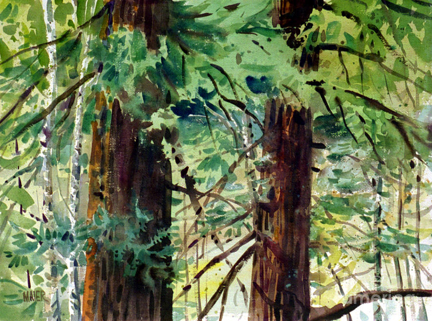 Redwoods #2 Painting by Donald Maier