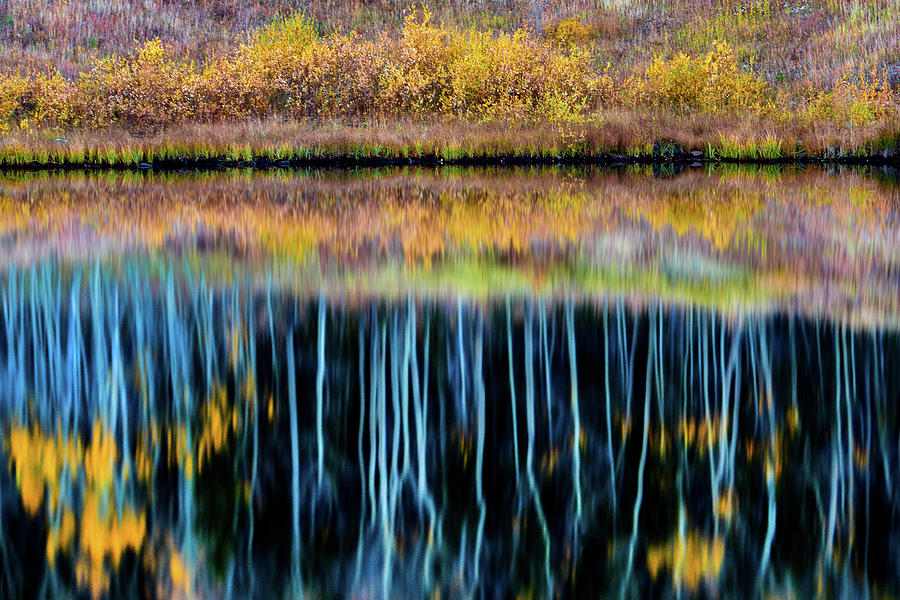 Reflecting On Fall #1 Photograph by John De Bord