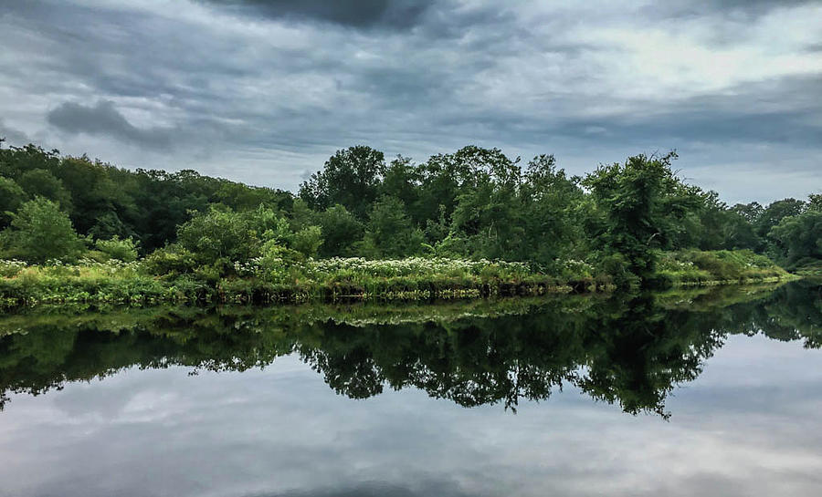 Reflection by MaryAnn Barry Reflection by MaryAnn Barry